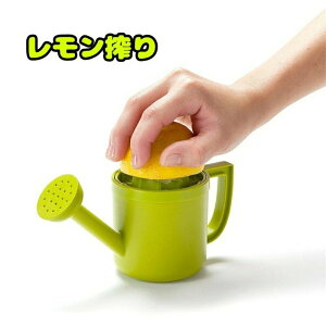 W[T[ WE^ i L`pi ֗ i肫 nhW[T[  W[  i@ ڂ ڂ Lb` v[g XNC[U[ i 䂸 