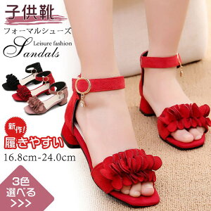 q LbY XgbvV[Y Ǝ  qC  tH[} ̎q Pl 傫TCY T_ C JWA ʊw { t tH[}V[Y t@bV W