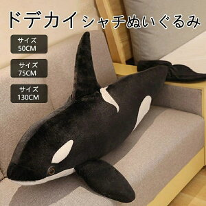  FB 傫  V` j  ޏ  q V` ʂ NW ~ a 킢 _炩 Cm  ӂӂ