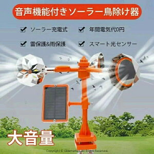  Q L[ JX g ފ ɗD ng 悯 g  c @\t _ G z   ʒ ΍  h \[[[d @\ Q