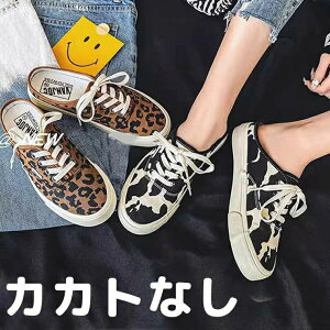 �����Ɠ��߂� ���f�B�[�X ���I�p�[�h �T���_�� �T�{ �����ƂȂ� 50�� �^�� ����X�j�[�J�[ �N���b�O �������� �����Ɩ��� �A�j�}���� �J�J�g�Ȃ� �X���b�|�� ������ 40�� �X�j�[�J�[ �E���₷