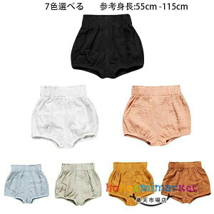 Ԃ o LbY ubN Y{ 80 q xr[ L 120 110 J[L 100 u[ ăpc jp zCg V[c V[gpc 73 V[c j̎q CG[ ct 66 