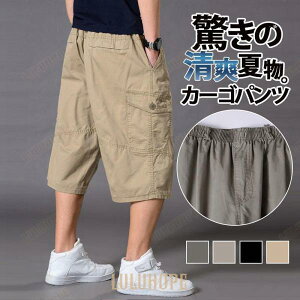 V[gpc {gX V[gpc ʋC T}[EGA J[Spc ĕ 傫TCY Y Zp  Y{ 7 