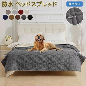 p QJo[ 􂦂 Lp hoJo[ ~ 􂦂 ~pbh V[g ybgV[c V[g ʋC \t@[Jo[ hV[c xbhXvbh Lg xbhJo[ 