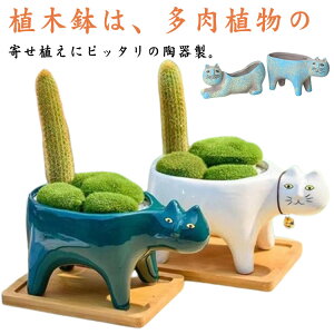 ミニ サボテン プレゼント の人気商品一覧・価格比較 - 価格 com