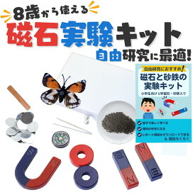 【LINE5％OFFクーポン】小学生 理科実験セット 自由研究に最適 自由研究おたすけキット 冬休み 小学生 低学年 中学年 男の子 磁石と砂鉄の実験キット 親子で実験 科学実験 簡単 棒磁石 U字磁石 磁石棒 冬休みの自由研究 自由研究 おすすめ