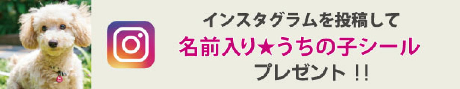 インスタ投稿でうちの子シールプレゼント