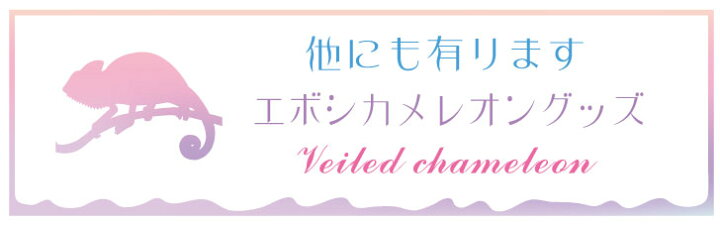 楽天市場 ｽｰﾊﾟｰｾｰﾙ ﾎﾟｲﾝﾄｱｯﾌﾟ スタンプ エボシカメレオン 4個セット イラスト シルエット グッズ ペット バレットジャーナル かわいい シンプル 手紙 カード 名刺 塗り絵 爬虫類 トカゲ Mo U Ra