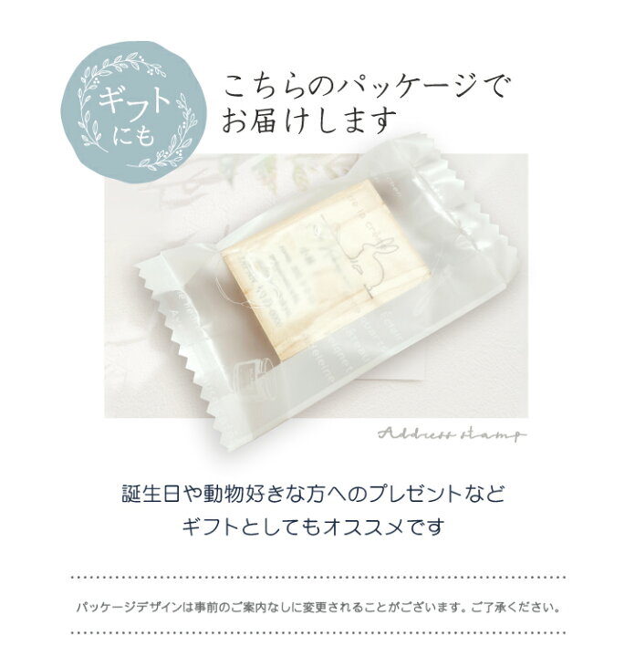 楽天市場 送料無料 スタンプ アマゾンツノガエル アドレススタンプ お名前 サイン はんこ 判子 オーダーメイド アドレス 住所印 ショップスタンプ お名前スタンプ シンプル ペット かわいい オシャレ カエル Mo U Ra