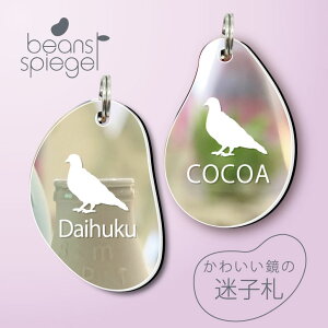 y BLACK FRIDAY P5{ z qD y ng z r[Y Vs[Q ~[  ybg Au}[J[ O ɏ l[v[g D  킢 VGbg v[g ObY 