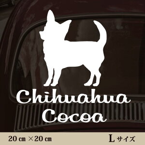 y }\ P5{ z XebJ[ y ` X[X zL ybg J[ ybgXebJ[ 킢 Vv JbeBOV[g ObY O  I[_[ O V[  ]ʎ