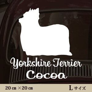 y BLACK FRIDAY P5{ z  XebJ[ y [NV[eA zL ybg J[ ybgXebJ[ 킢 Vv JbeBOV[g ObY O  I[_[ O V[  ]