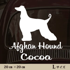 y BLACK FRIDAY P5{ z  XebJ[ y AtKnEh zL ybg J[ ybgXebJ[ 킢 Vv JbeBOV[g ObY O  I[_[ O V[  ]