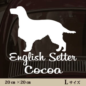  XebJ[ y CObVZ^[ zL ybg J[ ybgXebJ[ 킢 Vv JbeBOV[g ObY O  I[_[ O V[  ]ʎ 