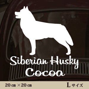  XebJ[ y VxAnXL[ zL ybg J[ ybgXebJ[ 킢 Vv JbeBOV[g ObY O  I[_[ O V[  ]ʎ 