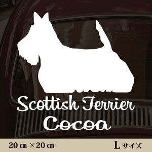 y BLACK FRIDAY P5{ z  XebJ[ y XReBbVeA zL ybg J[ ybgXebJ[ 킢 Vv JbeBOV[g ObY O  I[_[ O V[  