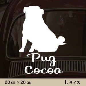 y }\ P5{ z XebJ[ y pO  zL ybg J[ ybgXebJ[ 킢 Vv JbeBOV[g ObY O  I[_[ O V[  ]ʎ 