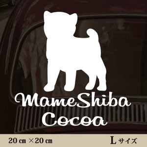 y BLACK FRIDAY P5{ z  XebJ[ y  zL ybg J[ ybgXebJ[ 킢 Vv JbeBOV[g ObY O  I[_[ O V[  ]ʎ 