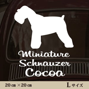  XebJ[ y ~j`AViEU[ zL ybg J[ ybgXebJ[ 킢 Vv JbeBOV[g ObY O  I[_[ O V[  ]ʎ 