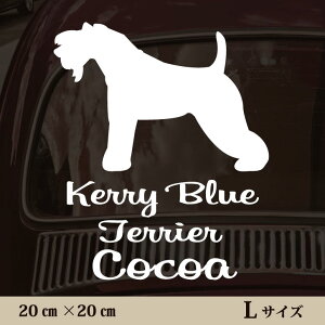 y }\ P5{ z XebJ[ y P[u[eA zL ybg J[ ybgXebJ[ 킢 Vv JbeBOV[g ObY O  I[_[ O V[  ]