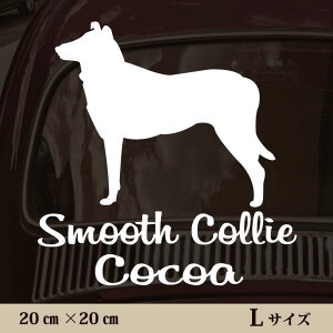 y }\ P5{ z XebJ[ y X[XR[ zL ybg J[ ybgXebJ[ 킢 Vv JbeBOV[g ObY O  I[_[ O V[  ]ʎ 