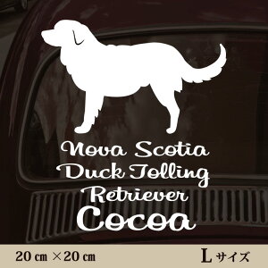  XebJ[ y m@XRVA_bNg[Og[o[ zL ybg J[ ybgXebJ[ 킢 Vv JbeBOV[g ObY O  I[_[ O V[ 