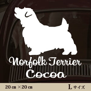  XebJ[ y m[tH[NeA zL ybg J[ ybgXebJ[ 킢 Vv JbeBOV[g ObY O  I[_[ O V[  ]ʎ 