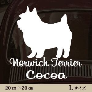  XebJ[ y m[b`eA zL ybg J[ ybgXebJ[ 킢 Vv JbeBOV[g ObY O  I[_[ O V[  ]ʎ 