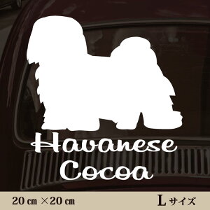  XebJ[ y noj[Y zL ybg J[ ybgXebJ[ 킢 Vv JbeBOV[g ObY O  I[_[ O V[  ]ʎ 