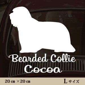  XebJ[ y rAfbhR[ zL ybg J[ ybgXebJ[ 킢 Vv JbeBOV[g ObY O  I[_[ O V[  ]ʎ 