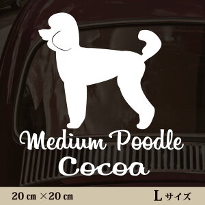  XebJ[ y ~fBAv[h zL ybg J[ ybgXebJ[ 킢 Vv JbeBOV[g ObY O  I[_[ O V[  ]ʎ 