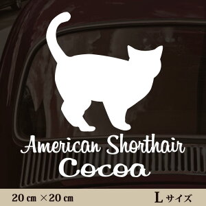 y }\ P5{ z XebJ[ y AJV[gwA zL ybg J[ ybgXebJ[ 킢 Vv JbeBOV[g ObY O  I[_[ O V[ 