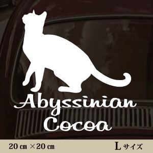 y }\ P5{ z XebJ[ y ArVjA zL ybg J[ ybgXebJ[ 킢 Vv JbeBOV[g ObY O  I[_[ O V[  ]ʎ L