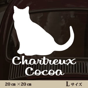 y }\ P5{ z XebJ[ y Vg[ zL ybg J[ ybgXebJ[ 킢 Vv JbeBOV[g ObY O  I[_[ O V[  ]ʎ 