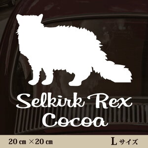 y }\ P5{ z XebJ[ y ZJ[NbNX zL ybg J[ ybgXebJ[ 킢 Vv JbeBOV[g ObY O  I[_[ O V[  ]