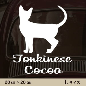  XebJ[ y gLj[Y zL ybg J[ ybgXebJ[ 킢 Vv JbeBOV[g ObY O  I[_[ O V[  ]ʎ L