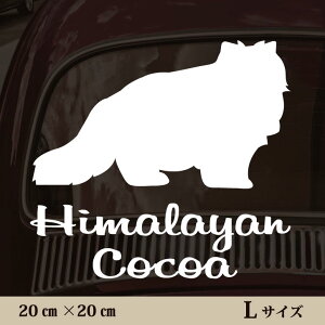 y }\ P5{ z XebJ[ y q} zL ybg J[ ybgXebJ[ 킢 Vv JbeBOV[g ObY O  I[_[ O V[  ]ʎ L