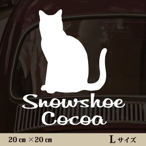  XebJ[ y Xm[V[ zL ybg J[ ybgXebJ[ 킢 Vv JbeBOV[g ObY O  I[_[ O V[  ]ʎ L