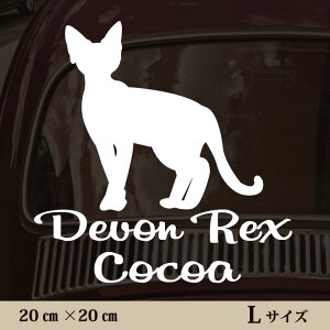  XebJ[ y f{bNX zL ybg J[ ybgXebJ[ 킢 Vv JbeBOV[g ObY O  I[_[ O V[  ]ʎ L