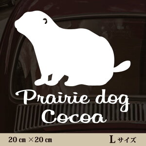  XebJ[ y v[[hbO zL ybg J[ ybgXebJ[ 킢 Vv JbeBOV[g ObY O  I[_[ O V[  ]ʎ 