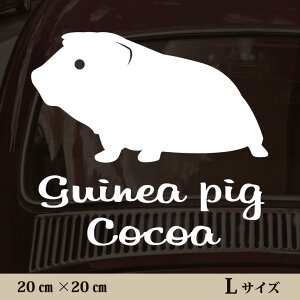 y }\ P5{ z XebJ[ y bg zL ybg J[ ybgXebJ[ 킢 Vv JbeBOV[g ObY O  I[_[ O V[  ]ʎ 