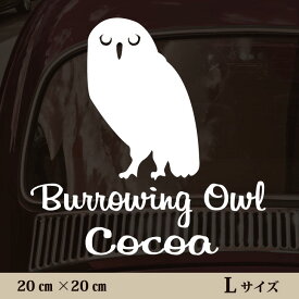 楽天市場 アナホリフクロウの通販