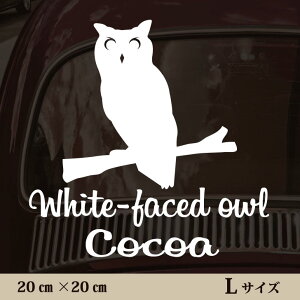 y BLACK FRIDAY P5{ z  XebJ[ y AtJIIRmnYN zL ybg J[ ybgXebJ[ 킢 Vv JbeBOV[g ObY O  I[_[ O V[ 