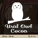 楽天市場 ペットの種類から探す 鳥 フクロウ ウラルフクロウ Mo U Ra