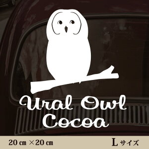 y BLACK FRIDAY P5{ z  XebJ[ y EtNE zL ybg J[ ybgXebJ[ 킢 Vv JbeBOV[g ObY O  I[_[ O V[  ]ʎ