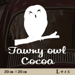 y BLACK FRIDAY P5{ z  XebJ[ y tNE zL ybg J[ ybgXebJ[ 킢 Vv JbeBOV[g ObY O  I[_[ O V[  ]ʎ 