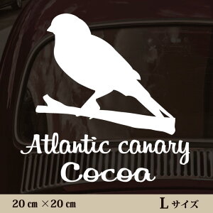 y }\ P5{ z XebJ[ y JiA zL ybg J[ ybgXebJ[ 킢 Vv JbeBOV[g ObY O  I[_[ O V[  ]ʎ 