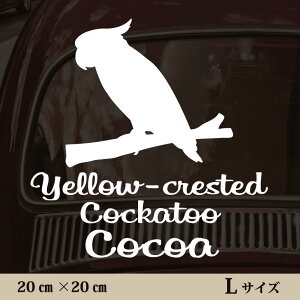 y BLACK FRIDAY P5{ z  XebJ[ y Ro^ zL ybg J[ ybgXebJ[ 킢 Vv JbeBOV[g ObY O  I[_[ O V[  ]ʎ 