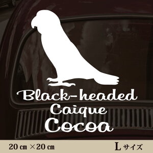 y }\ P5{ z XebJ[ y YOVnCR zL ybg J[ ybgXebJ[ 킢 Vv JbeBOV[g ObY O  I[_[ O V[  