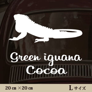 y }\ P5{ z XebJ[ y O[COAi zL ybg J[ ybgXebJ[ 킢 Vv JbeBOV[g ObY O  I[_[ O V[  ]